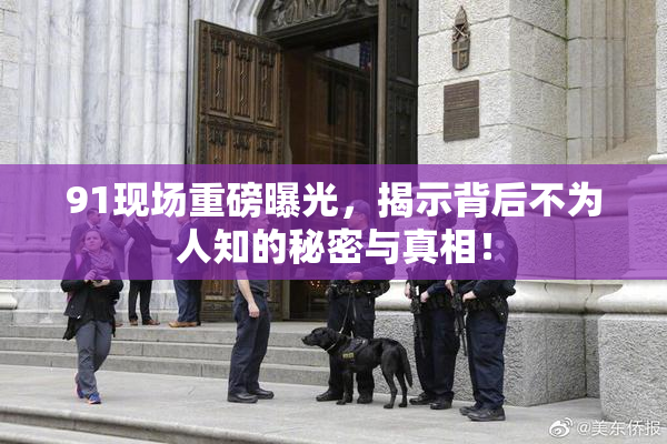 91现场重磅曝光，揭示背后不为人知的秘密与真相！