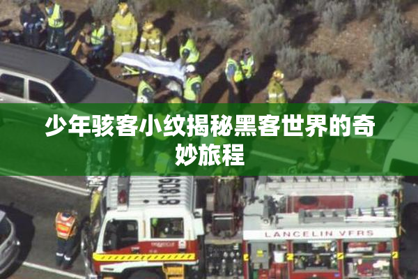 少年骇客小纹揭秘黑客世界的奇妙旅程