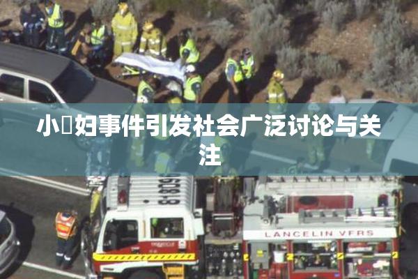 小婬妇事件引发社会广泛讨论与关注
