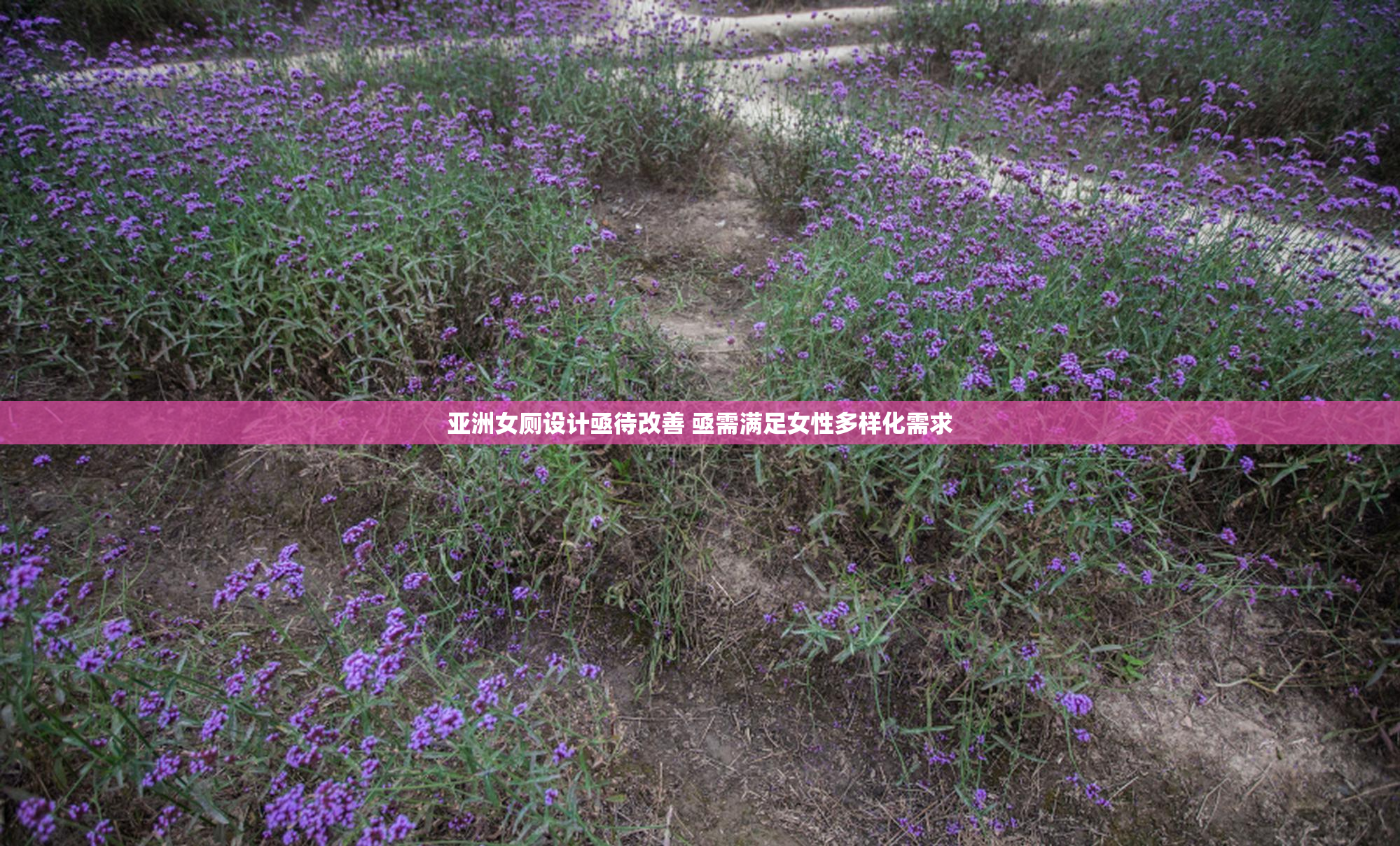 亚洲女厕设计亟待改善 亟需满足女性多样化需求