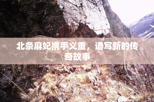 北条麻妃携手义重，谱写新的传奇故事