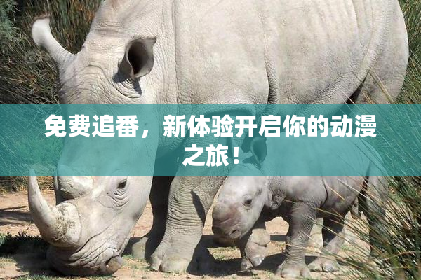 免费追番，新体验开启你的动漫之旅！