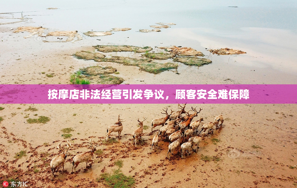 按摩店非法经营引发争议，顾客安全难保障