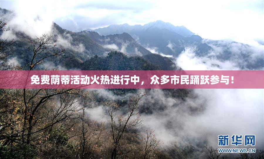 免费荫蒂活动火热进行中，众多市民踊跃参与！