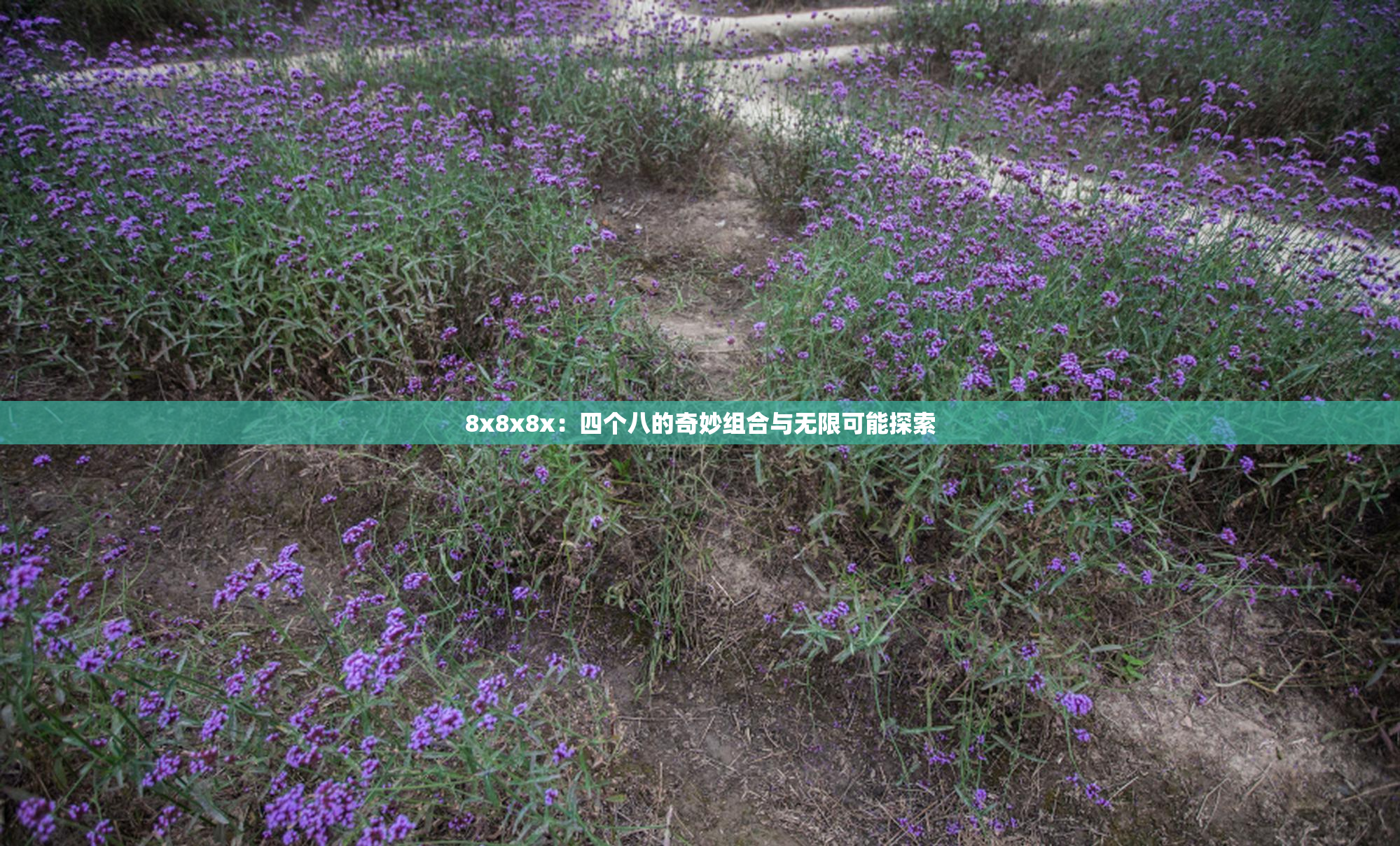 8x8x8x：四个八的奇妙组合与无限可能探索