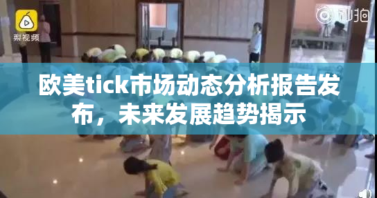 欧美tick市场动态分析报告发布，未来发展趋势揭示