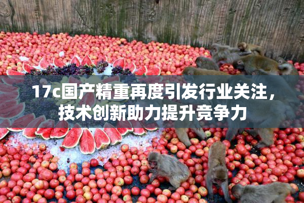17c国产精重再度引发行业关注，技术创新助力提升竞争力
