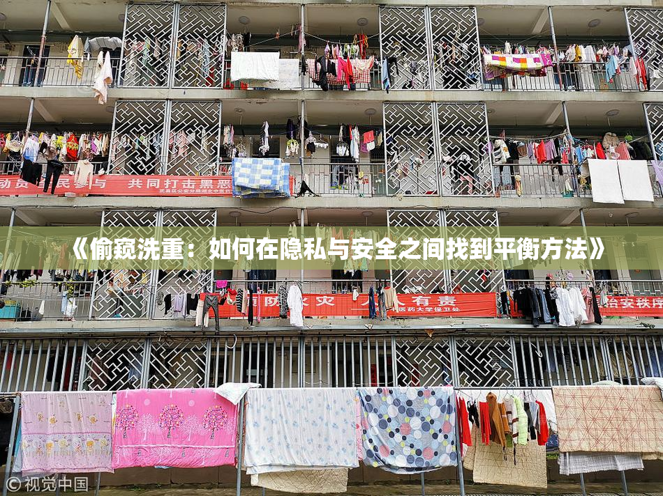 《偷窥洗重：如何在隐私与安全之间找到平衡方法》