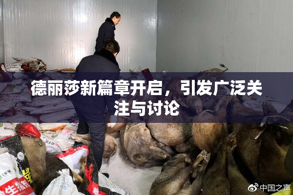 德丽莎新篇章开启，引发广泛关注与讨论