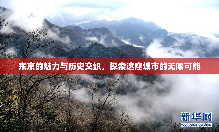东京的魅力与历史交织，探索这座城市的无限可能