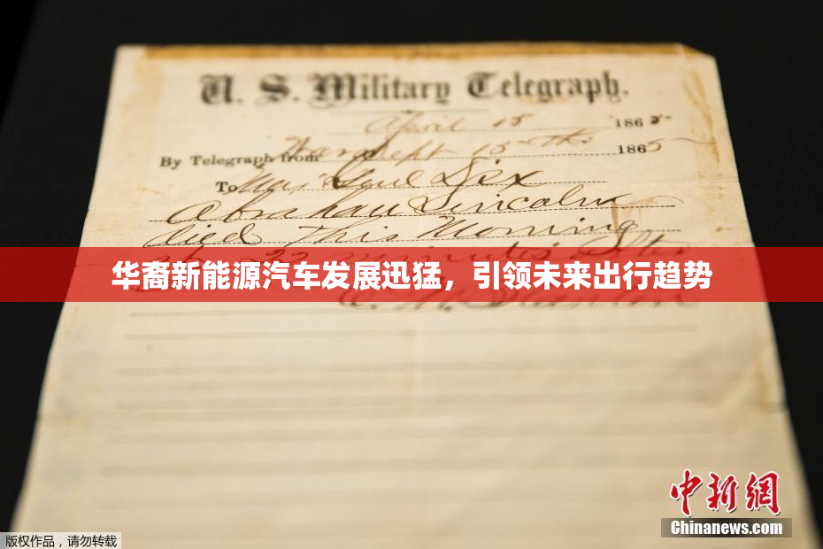 华裔新能源汽车发展迅猛，引领未来出行趋势