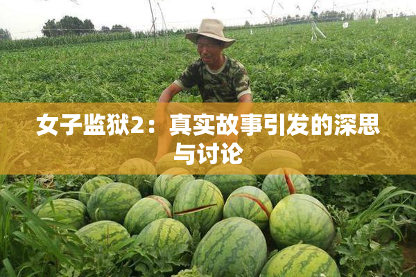 女子监狱2：真实故事引发的深思与讨论