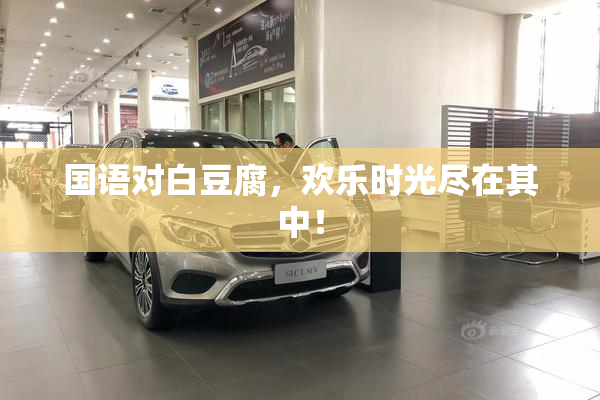 国语对白豆腐，欢乐时光尽在其中！