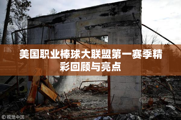 美国职业棒球大联盟第一赛季精彩回顾与亮点