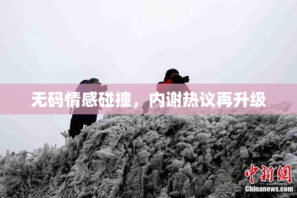 无码情感碰撞，内谢热议再升级