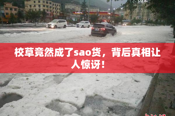 校草竟然成了sao货，背后真相让人惊讶！
