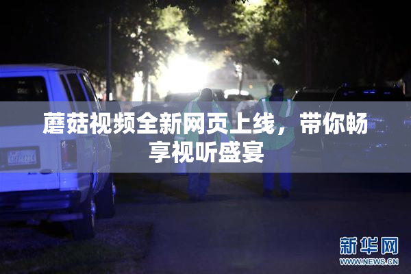 蘑菇视频全新网页上线，带你畅享视听盛宴