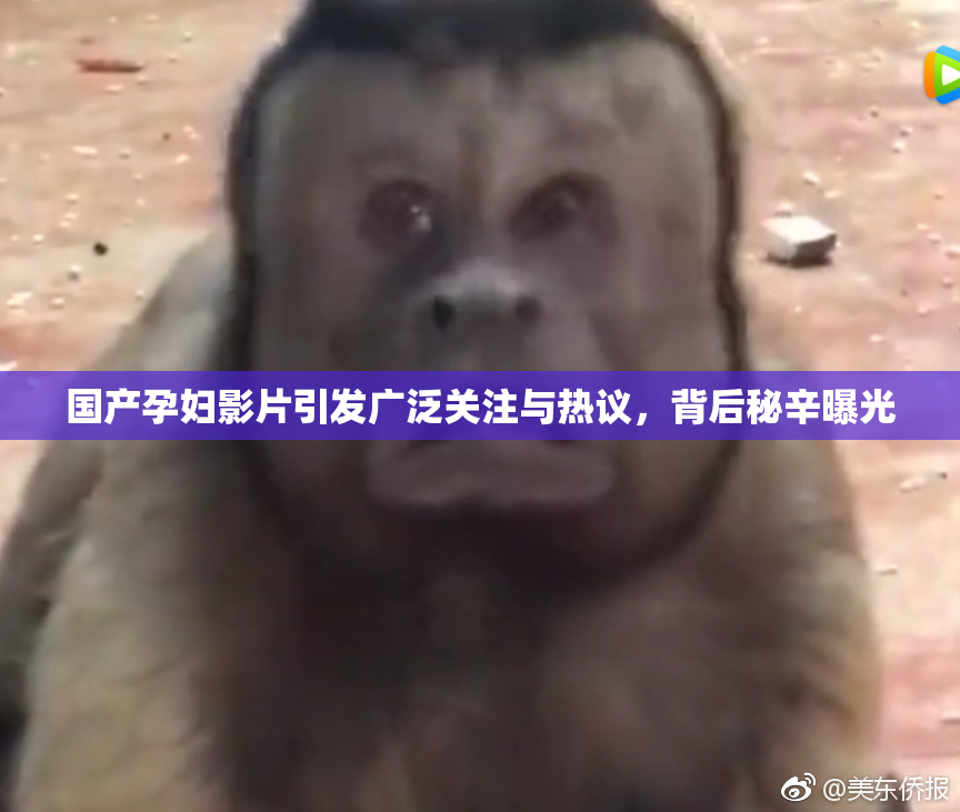 国产孕妇影片引发广泛关注与热议，背后秘辛曝光