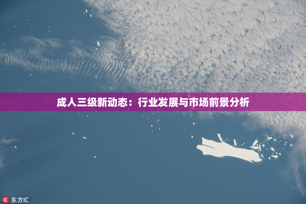 成人三级新动态：行业发展与市场前景分析