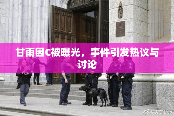甘雨因C被曝光，事件引发热议与讨论
