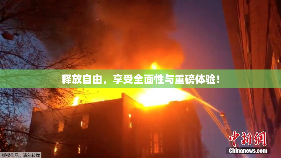 释放自由，享受全面性与重磅体验！