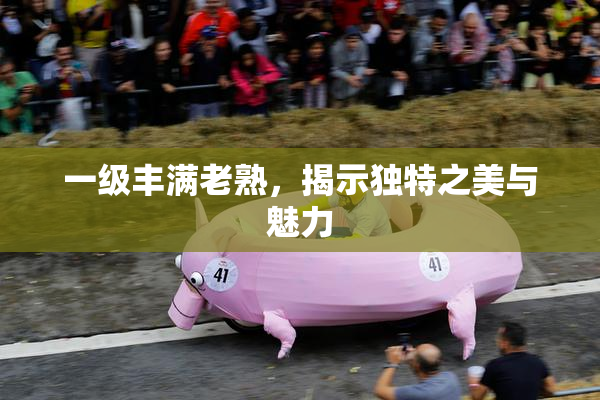 一级丰满老熟，揭示独特之美与魅力