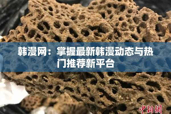 韩漫网：掌握最新韩漫动态与热门推荐新平台