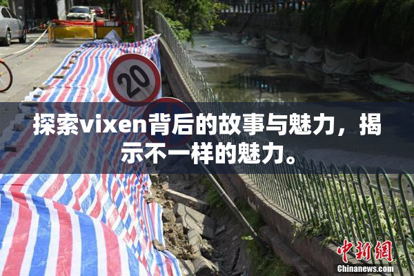 探索vixen背后的故事与魅力，揭示不一样的魅力。