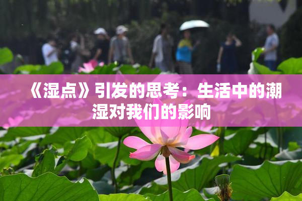 《湿点》引发的思考：生活中的潮湿对我们的影响
