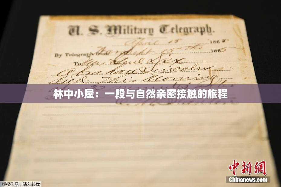 林中小屋：一段与自然亲密接触的旅程