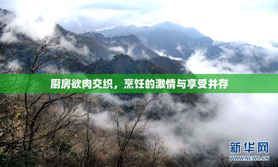厨房欲肉交织，烹饪的激情与享受并存