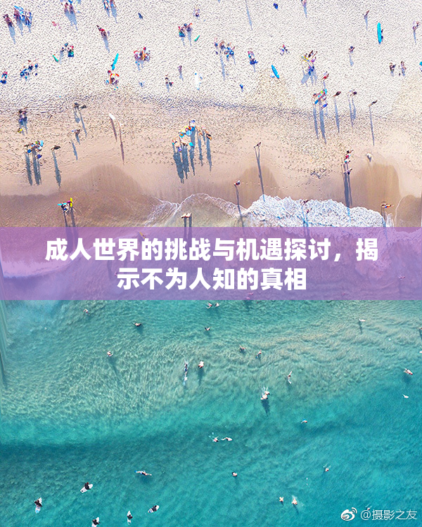 成人世界的挑战与机遇探讨，揭示不为人知的真相