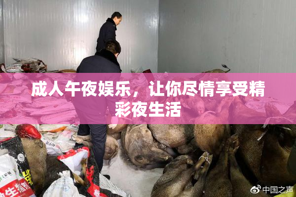 成人午夜娱乐，让你尽情享受精彩夜生活