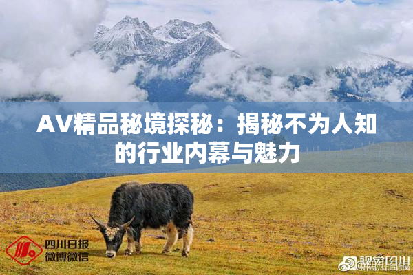 AV精品秘境探秘：揭秘不为人知的行业内幕与魅力