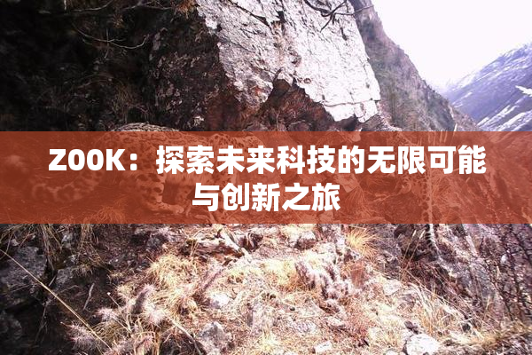 Z00K：探索未来科技的无限可能与创新之旅