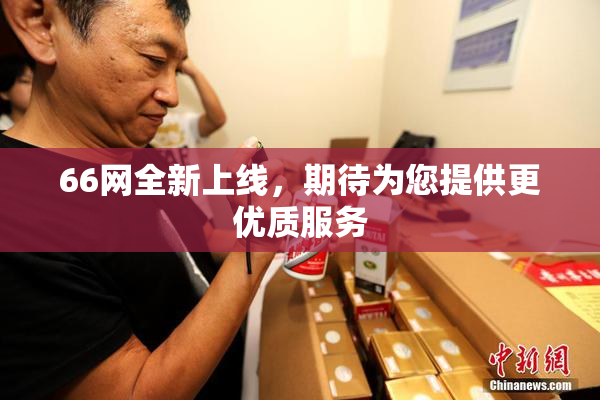66网全新上线，期待为您提供更优质服务