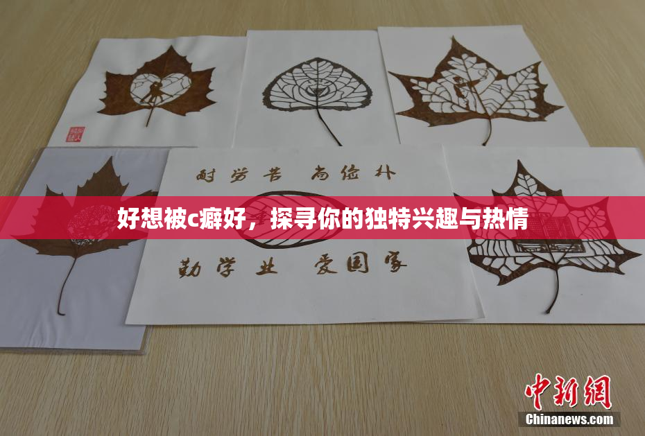 好想被c癖好，探寻你的独特兴趣与热情