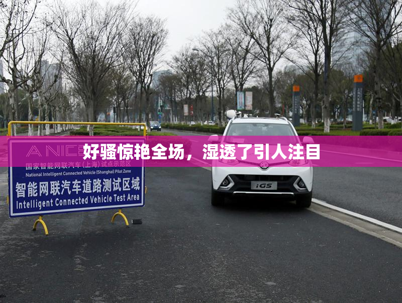 好骚惊艳全场，湿透了引人注目