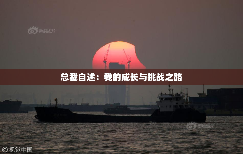 总裁自述：我的成长与挑战之路