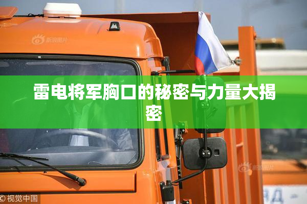 雷电将军胸口的秘密与力量大揭密
