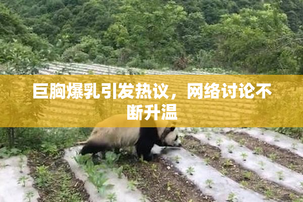巨胸爆乳引发热议，网络讨论不断升温