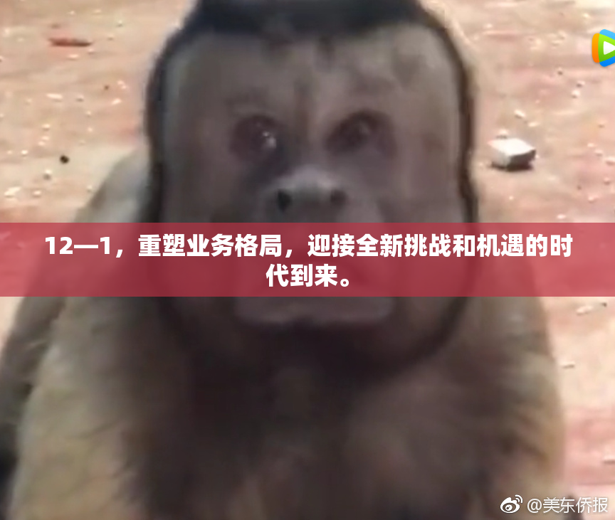 12—1，重塑业务格局，迎接全新挑战和机遇的时代到来。