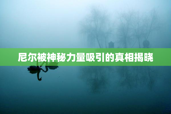尼尔被神秘力量吸引的真相揭晓