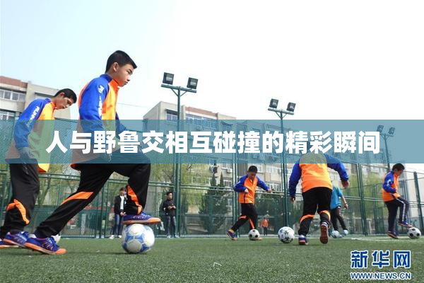 人与野鲁交相互碰撞的精彩瞬间