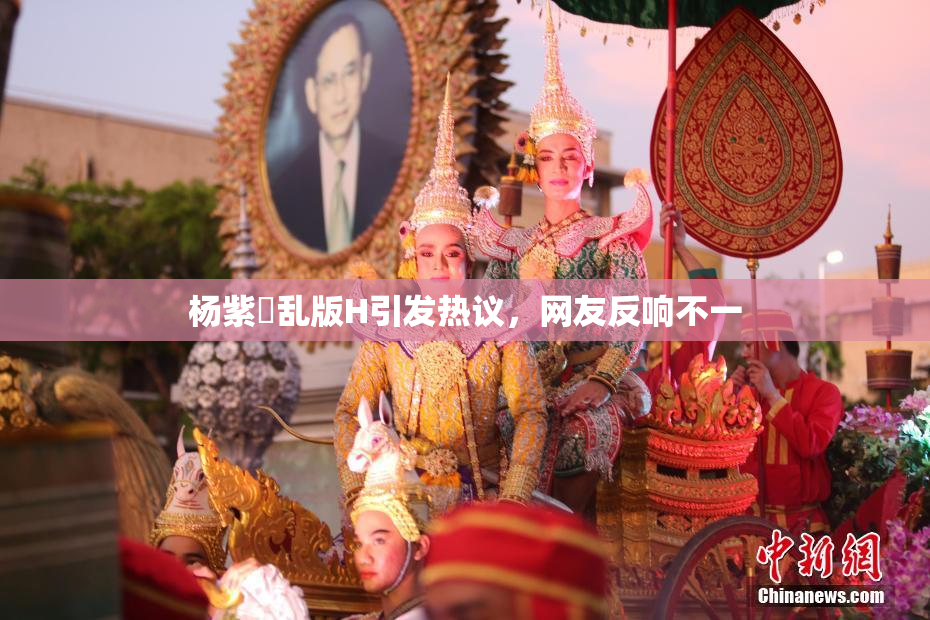 杨紫婬乱版H引发热议，网友反响不一