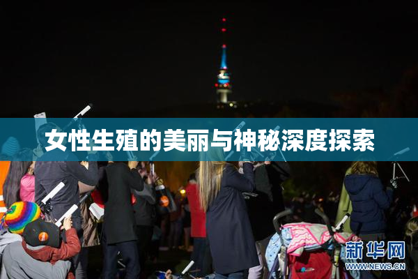 女性生殖的美丽与神秘深度探索