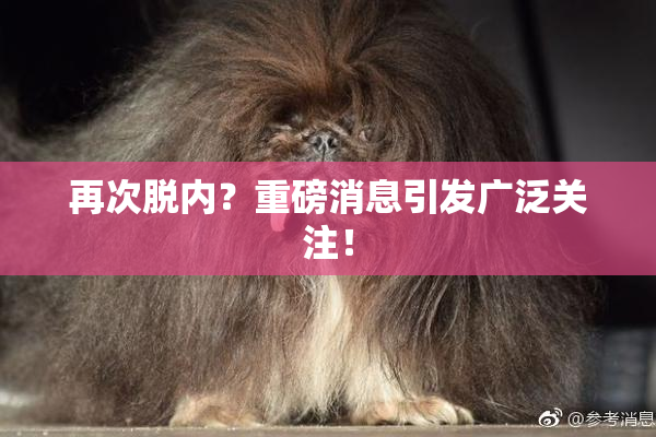 再次脱内？重磅消息引发广泛关注！