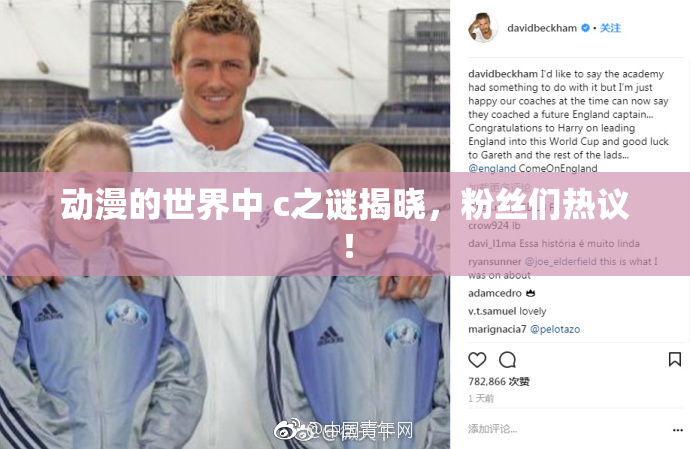 动漫的世界中 c之谜揭晓，粉丝们热议！