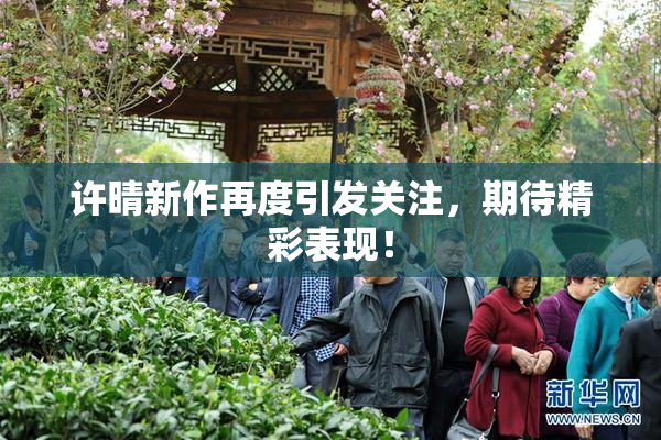 许晴新作再度引发关注，期待精彩表现！
