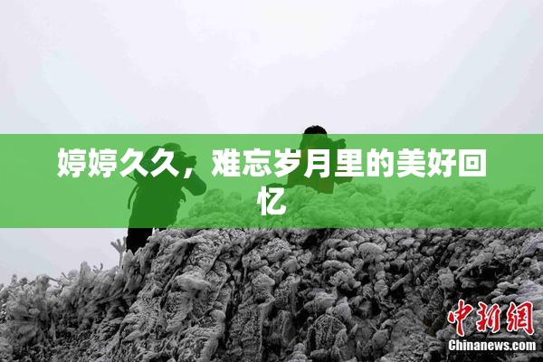 婷婷久久，难忘岁月里的美好回忆